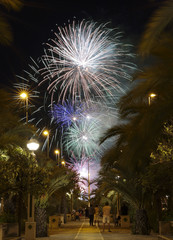 Castle Fireworks in Elche