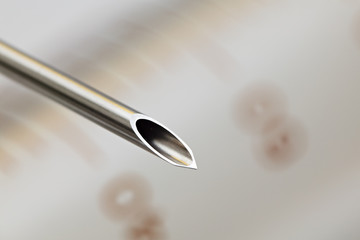 The tip of an injection needle, Finland 2002