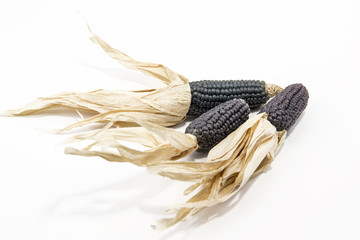 Dry corn isolated on white background