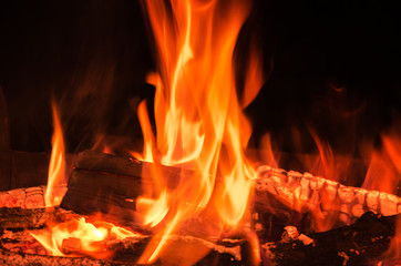 Fototapeta premium flame fire night