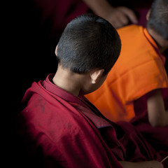 Back view of a young monk at the Chhimi Lhakhang, Punakha District, fertility temple