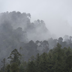 Mist over landscape in Bhutan