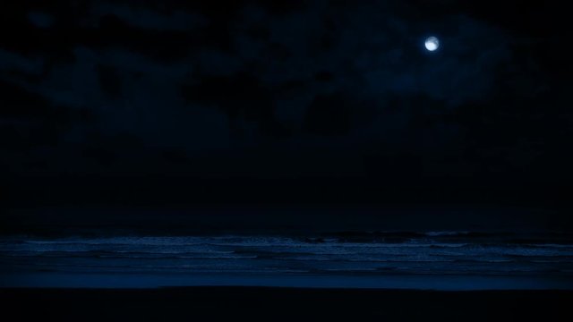 Beach At Night In Moonlight