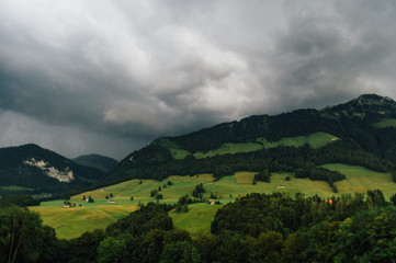 Fields in Alps