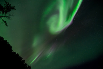 Aurora Borealis