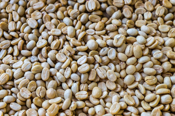 parchment coffee