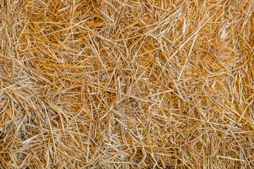 View to straw as background