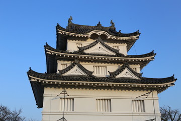 早朝の宇和島城