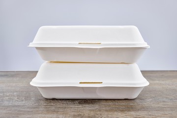 Disposable Food Tray