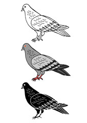 set of pigeon bird animal hand drawn vector illustration design