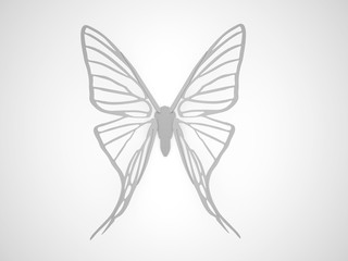 Butterfly render isolated on white