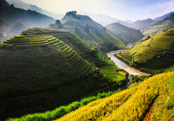 Rice fields on terraced in Northwest of Vietnam.