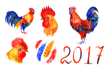 Rooster, red cock, Chinese zodiac symbol of the 2017 year. Watercolor illustration.