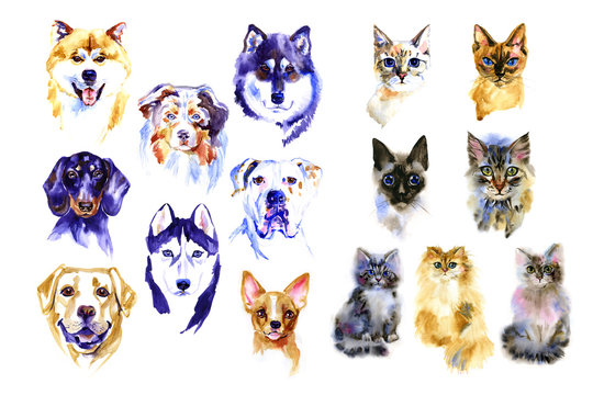 Dog and cats hand drawn watercolor colorful illustrations set