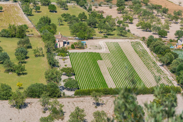 Plantage, Felder auf Mallorca