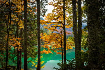 Autumn morning in the alps