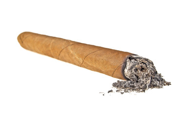 Brown cigar burned on white background