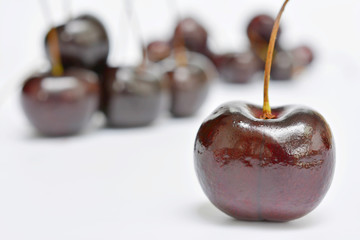 Cherries, white background