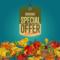 Autumn sale banner, vector illustration. Limited special offer, super sale label in vintage style on blue background with colorful autumn leaves. Premium quality. Retro design promotional badge