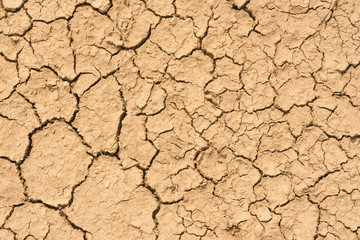Brown cracked earth, background