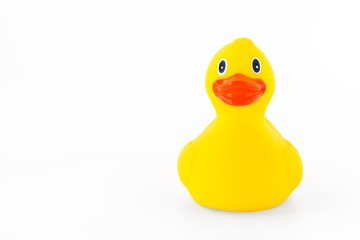 Isolated rubber duck