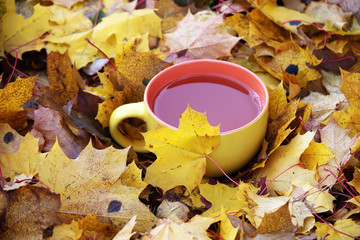 Naklejka na ściany i meble Tea on yellow fall autumn leaves