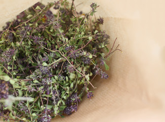 Dry thyme flowers