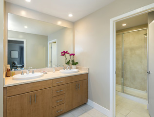 Bathroom interior in beige and wood cabinets and mirror and copy