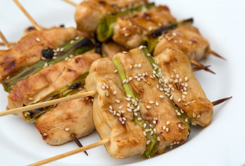 barbecue with delicious grilled meat and leek