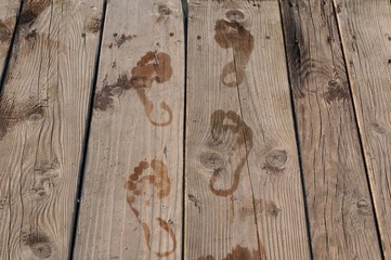 Wet footprints on wooden floor.