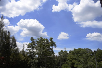 Obraz premium Blue Sky with Clouds