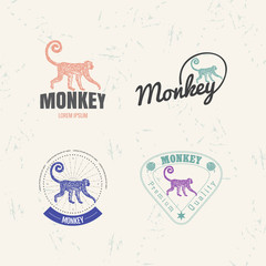 Vector logo set with Jungle Monkey