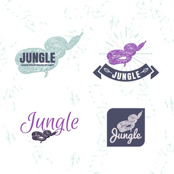 Vector logo set with Boa Constrictor snake