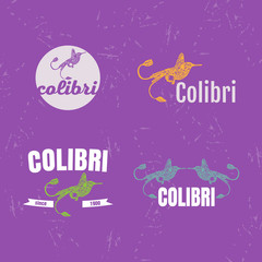 Vector logo set with Hummingbird