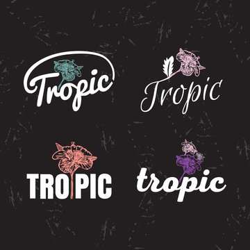 Vector logo set with Hibiscus Flower