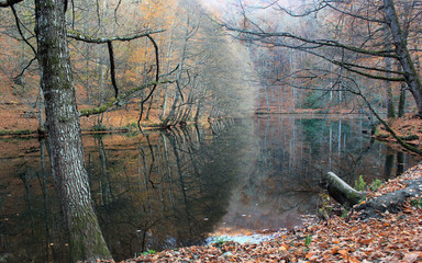 Seven Lakes National Park is located in the northern part of Bolu Province in Turkey