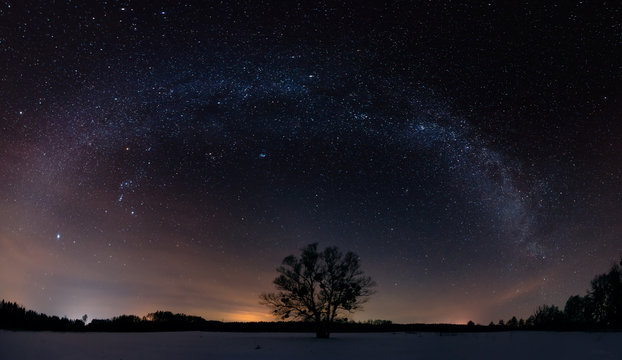 Milky way over the lonely tree