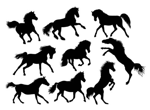 Silhouette of Horse Activity, illustration art vector design