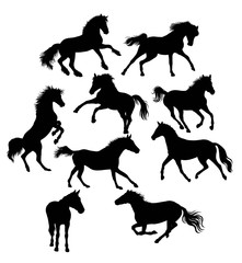 Silhouette of Action and Activities Horses, illustration art vector design