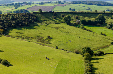 Fototapeta na wymiar View of farm land and River Dove in Crowdecote