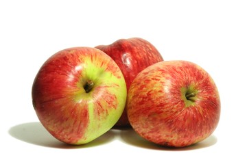 Red apples on a white backgound