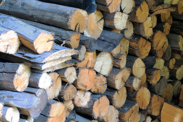 Dry firewood in a pile for furnace kindling