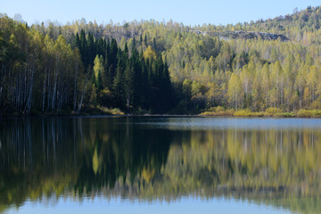 Fototapeta na wymiar Отражение в лесном озере