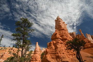 Bryce canyon