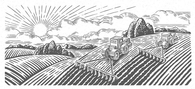 Spring rural landscape with two tractors in a graphic style, hand-drawn vector illustration.