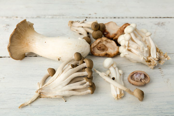 Assorted edible mushrooms