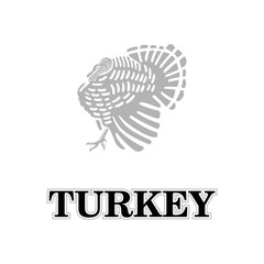 turkey logo template