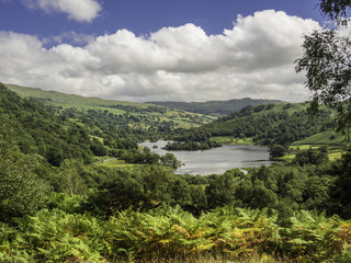 Fototapeta na wymiar Rydal Water from Whitemoss Common, Lake District, Cumbria, UK