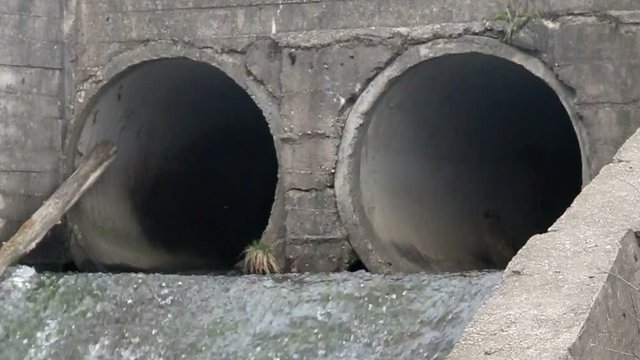 Trumpets of the severage system.