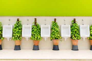 restroom interior with white urinal row and ornamental plants